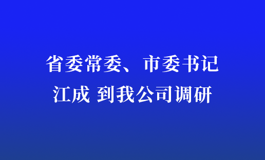 省委常委、市委書記江成到我公司調(diào)研